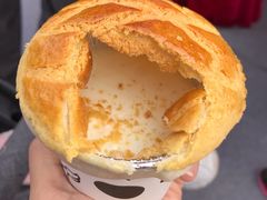 -万顷园艺世界