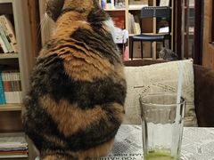 -隅cafe(傅厚岗店)