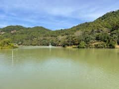 -广州白江湖森林公园