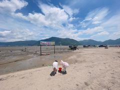 -北岐滩涂