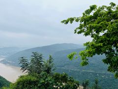 -铁山坪森林公园
