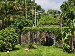 -石排湾郊野公园