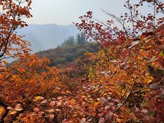 -周口店坡峰岭风景区