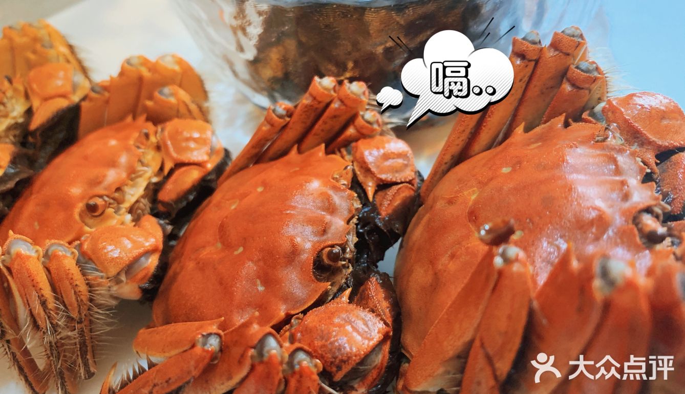 人间六月黄 吃肉又吃黄
