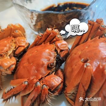 人间六月黄 吃肉又吃黄