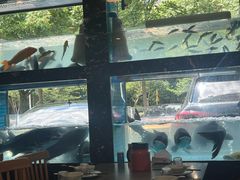 -浔味·山屿湖·正宗淳牌全鱼宴老字号