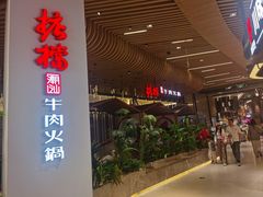 -掂档潮汕牛肉火锅(沈阳万象城店)