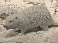 -中国湿地博物馆
