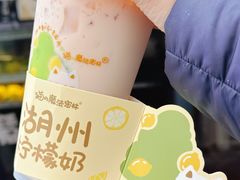 -猫的魔法密林(衣裳街店)