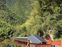 -山沟沟景区
