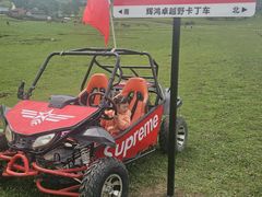 -关山草原