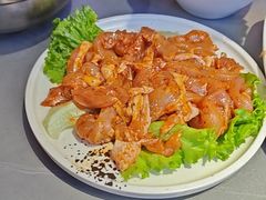 -盛辛巴·东北炭火烤肉(托乐嘉店)