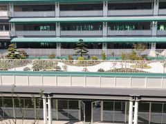 -杭州观成实验学校