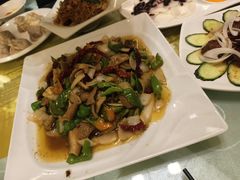 -喀什骑仕大观园