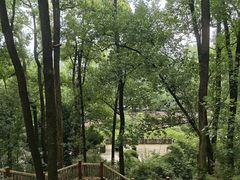 -南山植物园