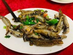 -蛇口康乐快餐鱼仔档(翠苑小区店)