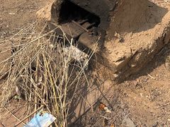 -西部长青自然儿童乐园