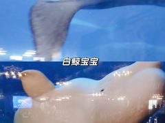 -杭州长乔极地海洋公园