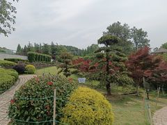 -铁山坪森林公园