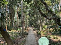 -中国科学院西双版纳热带植物园