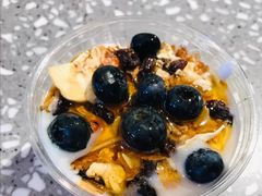 -油梨树AVOCADO TREE(嘉里中心店)