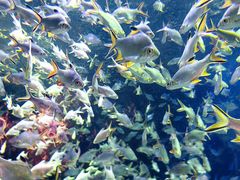 -成都浩海立方海洋公园