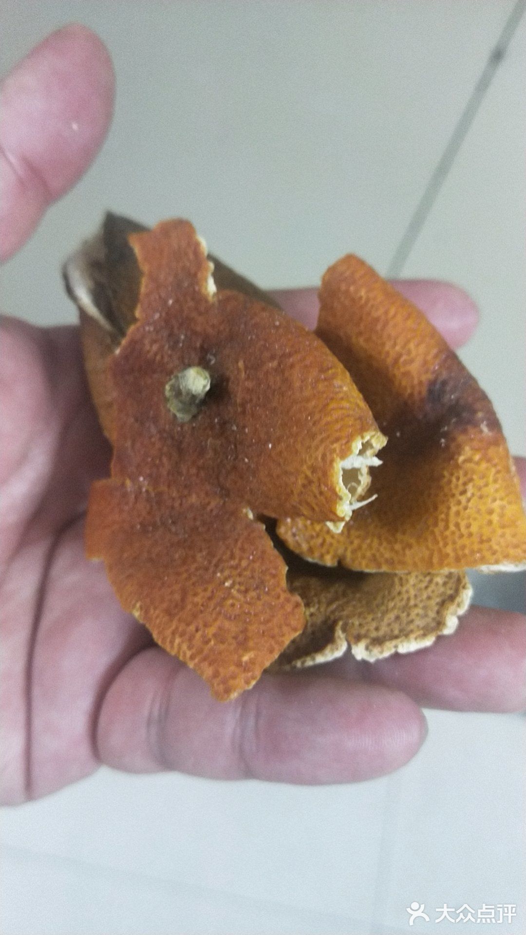 卤水大鹅。