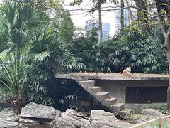 -晓港公园
