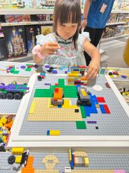 -乐高品牌旗舰店(人民广场店)