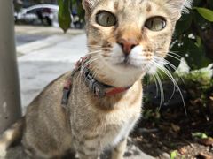 -Again Coffee Roaster(香蜜湖店)