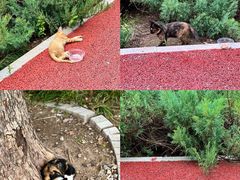 -长辛店二七公园