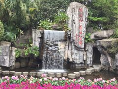 -广州市流溪河国家森林公园