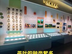 -中国茶叶博物馆(双峰馆区)