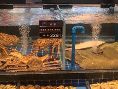 -百富源·海鲜辽菜(浑河堡店)