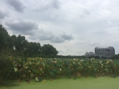 -东华大学(松江校区)