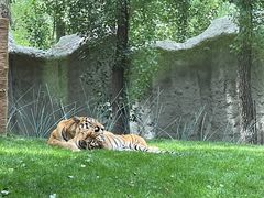 -北京野生动物园