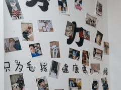 -宠福鑫动物医院(城北分院)