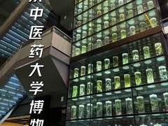 -广东中医药博物馆