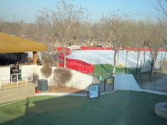 -爪吧宠物乐园 (温榆河示范区店)