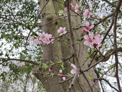 -敬亭山风景名胜区