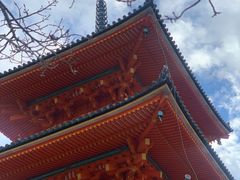 -有栖山 清光院 清水寺