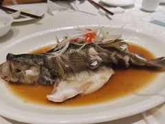 清蒸鲈鱼-小蓝鲸湖北菜(八一路店)