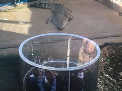 -悉尼海洋生物水族馆