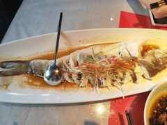 -春色如许·茶食餐厅(桃李春风店)