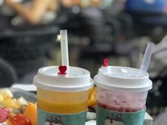 -野萃山·潮汕厚果汁(十亩地店)