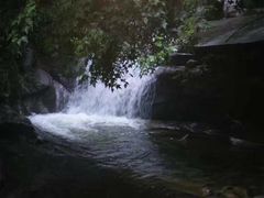 -洛阳白云山景区