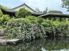 -台州府城(东湖)