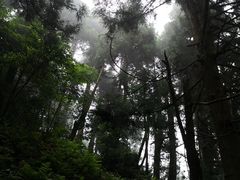 -南岳衡山风景名胜区-南岳大庙