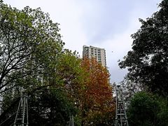 -苏州河梦清园环保主题公园