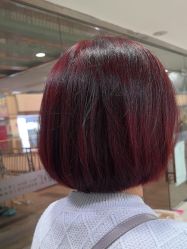-镁连社·美联社